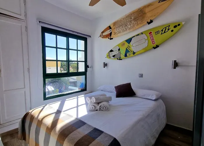 Vv Tropical Sun And Palm 