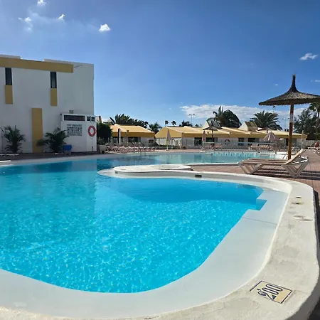 Vv Tropical Sun And Palm 