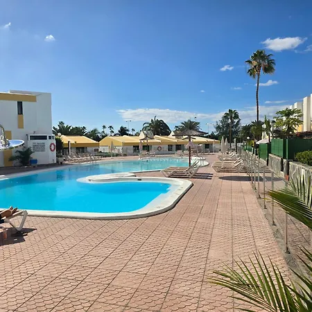 Vv Tropical Sun And Palm 