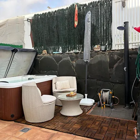 Vv Tropical Sun And Palm 