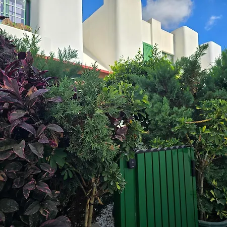 Vv Tropical Sun And Palm 