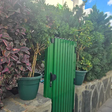 Vv Tropical Sun And Palm 