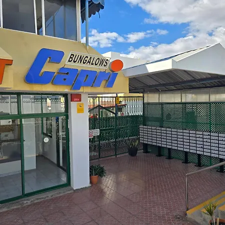 Vv Tropical Sun And Palm 