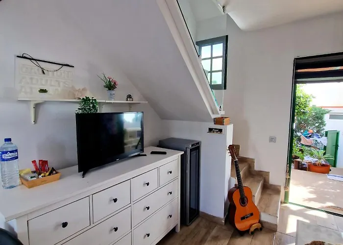 Vv Tropical Sun And Palm 