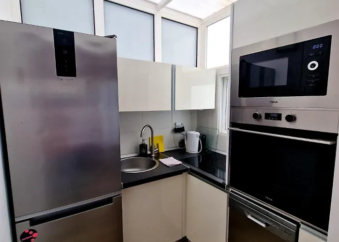 Vv Tropical Sun And Palm 