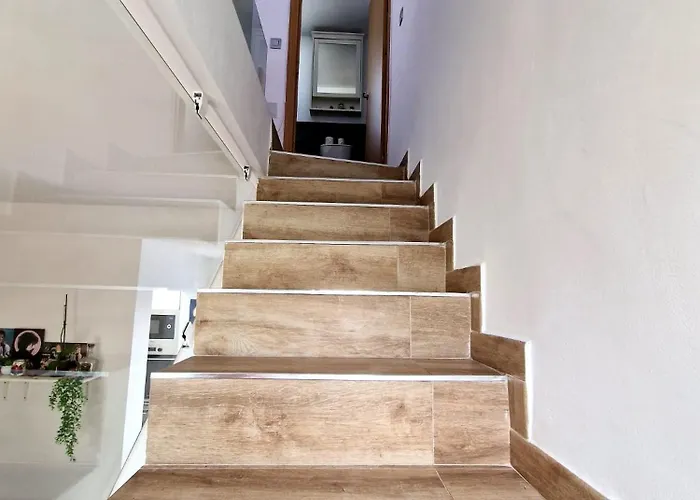 Vv Tropical Sun And Palm 