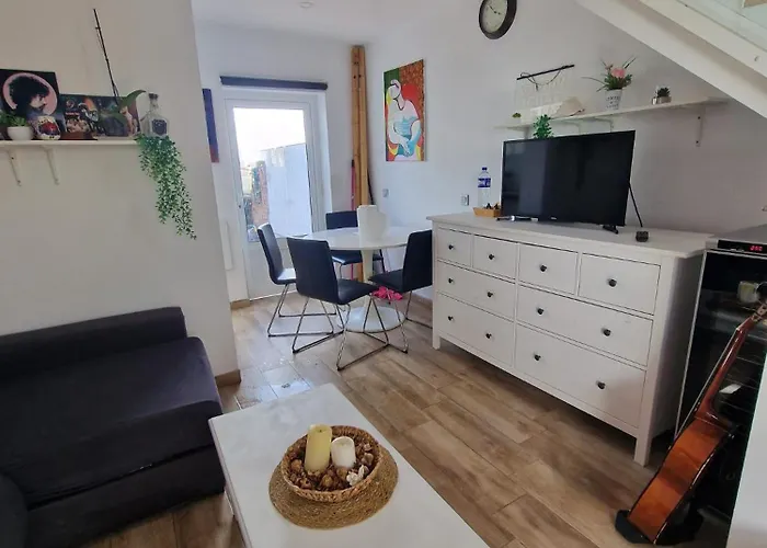 Vv Tropical Sun And Palm 