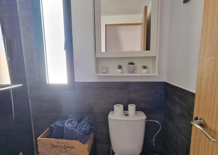 Vv Tropical Sun And Palm 