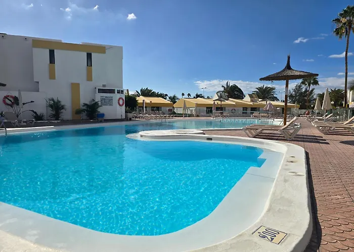 Vv Tropical Sun And Palm 