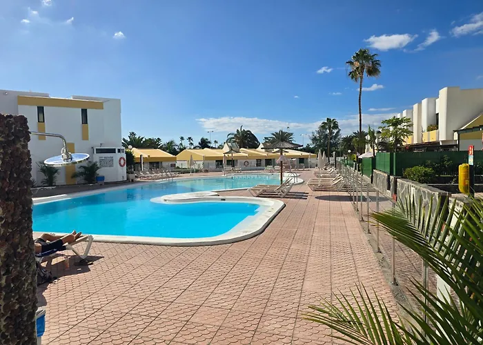 Vv Tropical Sun And Palm 