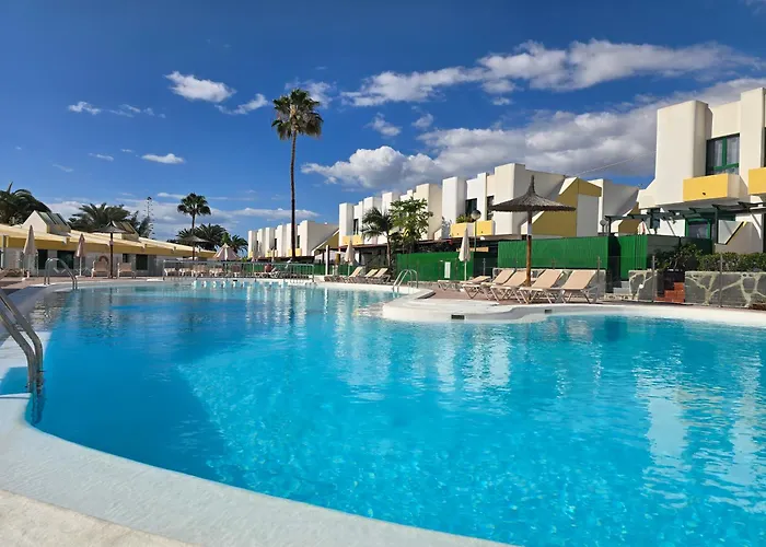 Vv Tropical Sun And Palm 