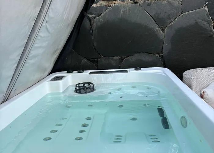 Vv Tropical Sun And Palm 