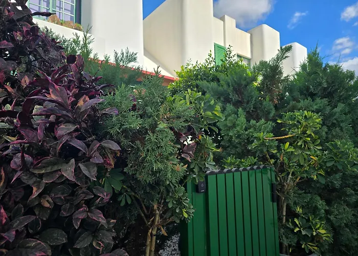 Vv Tropical Sun And Palm 