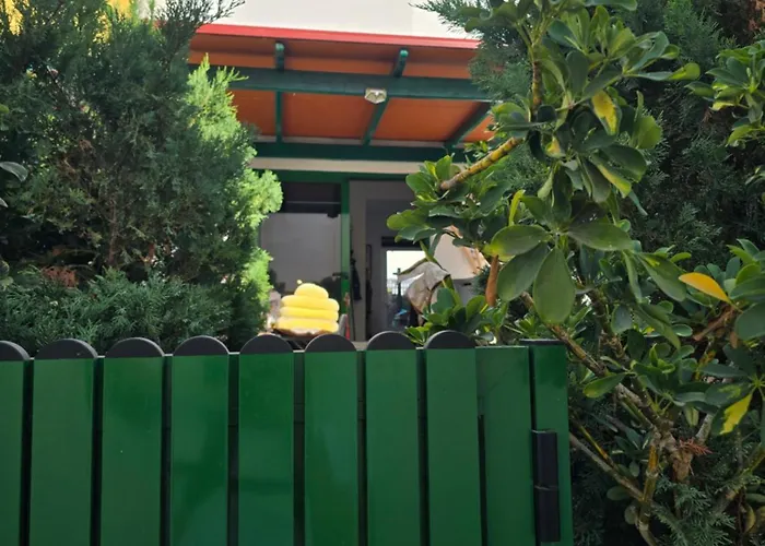 Apartmán Vv Tropical Sun And Palm 