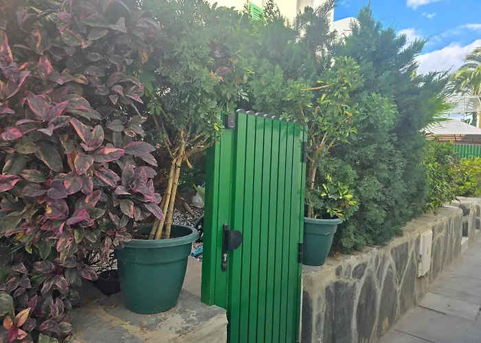 Vv Tropical Sun And Palm 