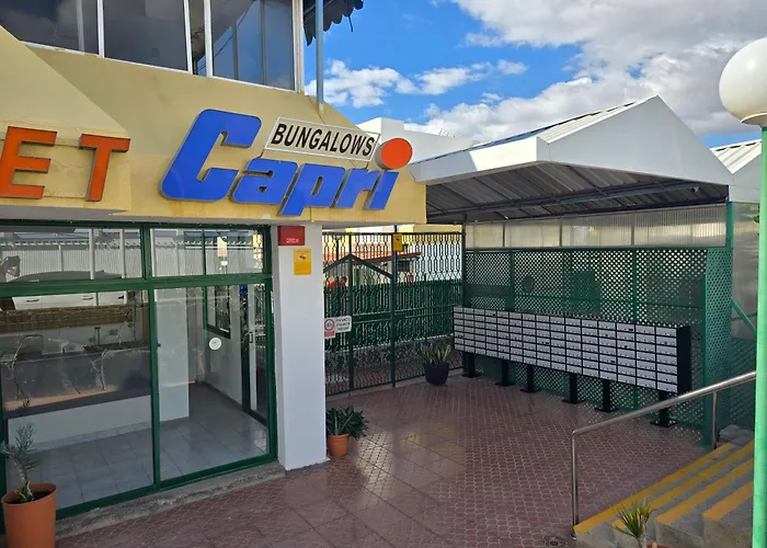 Vv Tropical Sun And Palm 